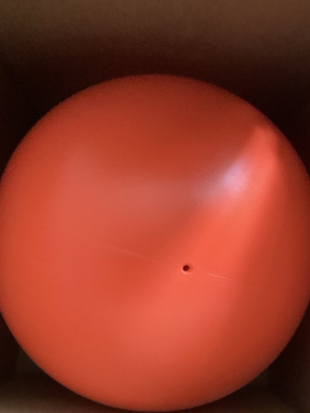 Indestructible Dog Ball